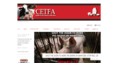 Desktop Screenshot of cetfa.org